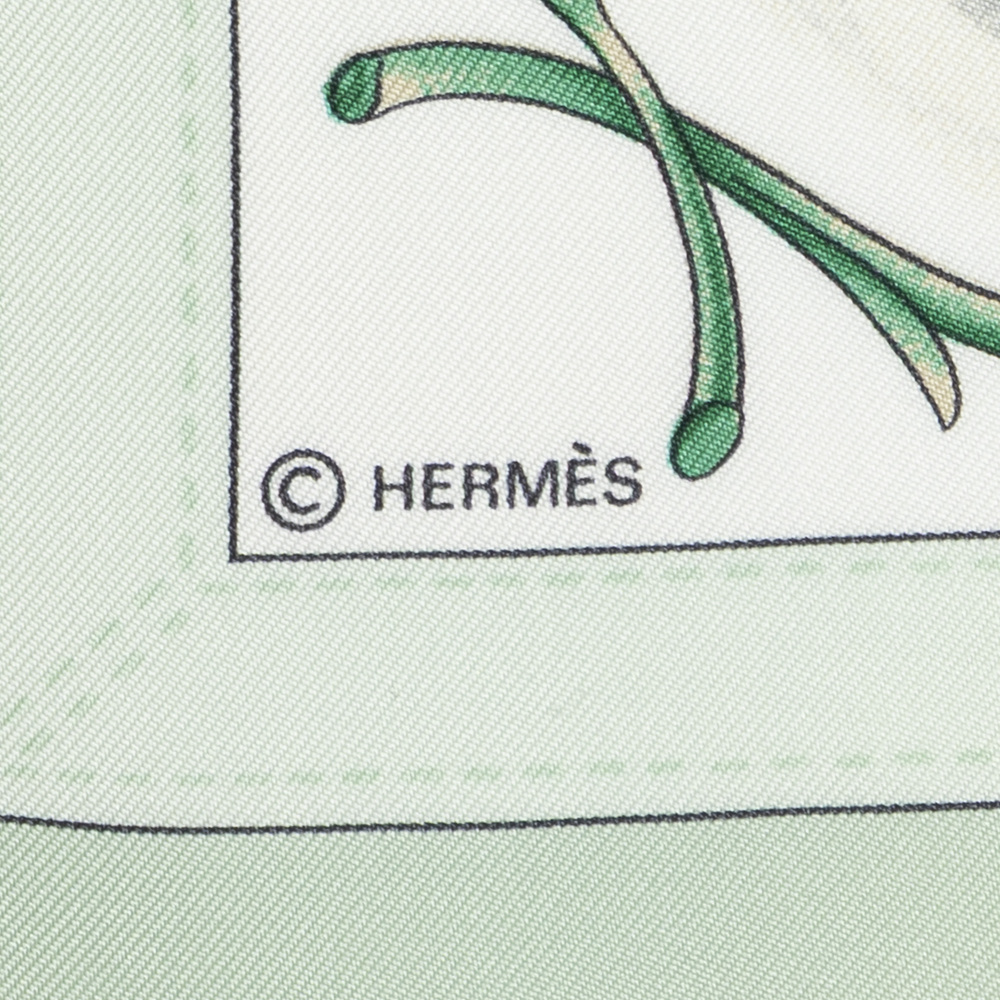 Hermes Scarf - Picture 4 of 5